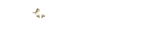 Momentus GEO